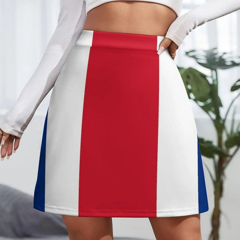 Minifalda de estilo coreano para mujer, regalos de bandera costarricana, pegatinas y productos, estética de los años 90, faldas elegantes