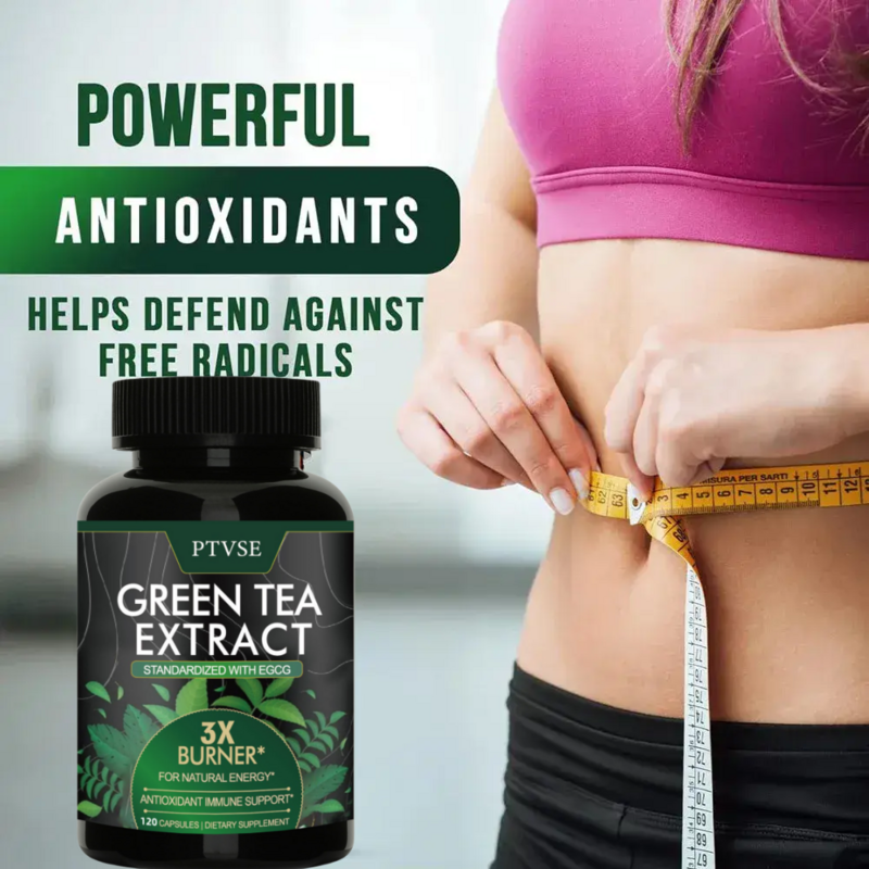 مستخرج شاي أخضر ممتاز ، يدعم مستويات الطاقة ، ينظف ويزيل السموم من الكثافة ، ويعزز القلب ، وموقد الدهون