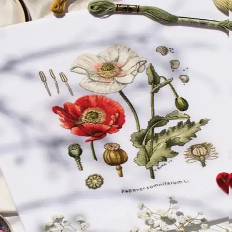 หนังสือ Kew ของดอกไม้ปักโดย trish Burr Anemone รูปแบบการเย็บปักถักร้อยทักษะการเย็บปักถักร้อยหนังสือสอนการเย็บปักถักร้อย