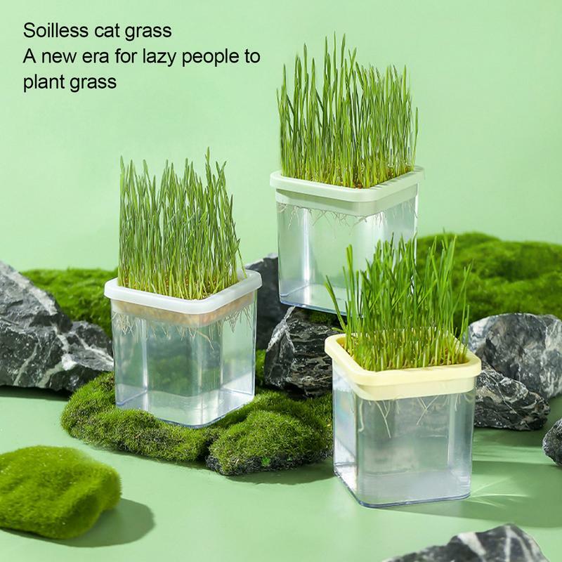 หญ้าแมวแบบไร้ดินชุดปลูกหญ้าสำหรับแมวกล่องหญ้าแมวแบบไฮโดรโพนิก