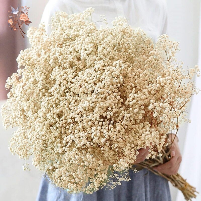 60g Dried Baby Breath Flower Bouquet Natural Dry Flowers Gypsophila Valentines Day Wedding Decoration Home Table Christmas Decor