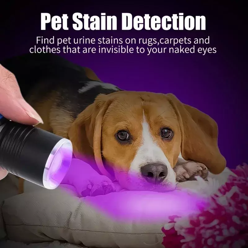 Linterna ultravioleta UV para mascotas, luz negra con zoom, recargable por USB, Detector de orina, curado de resina, 365/395nm