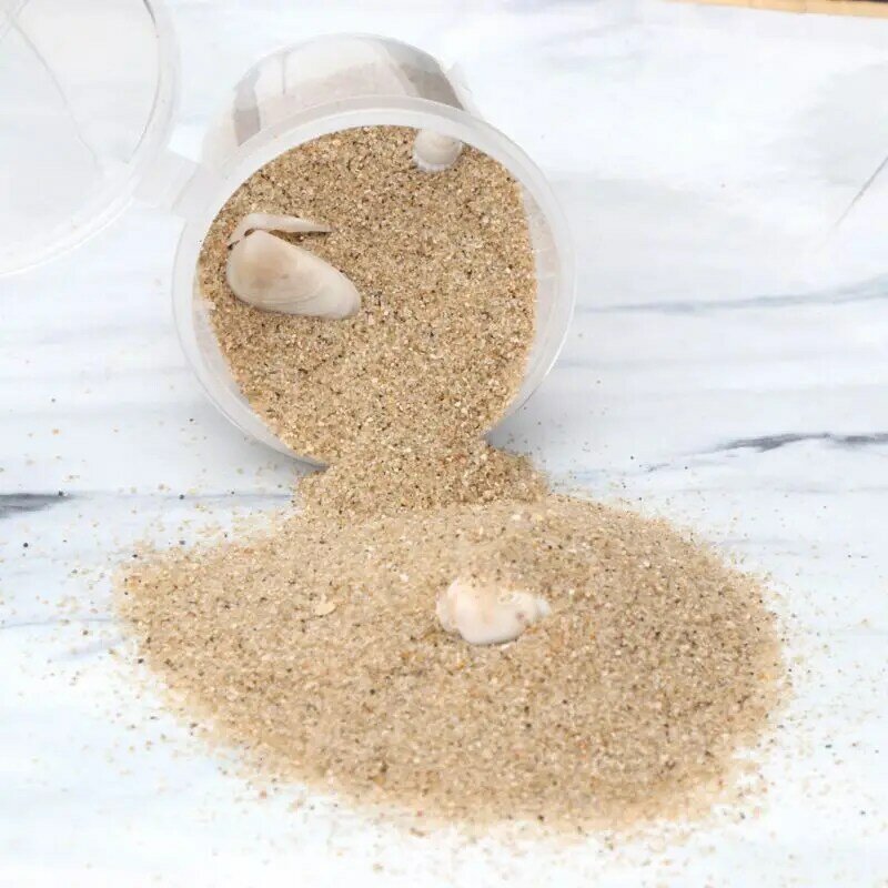 Chủ đề vỏ sò tự nhiên mới Sao biển cát UV Khung trám trang sức bằng nhựa Epoxy