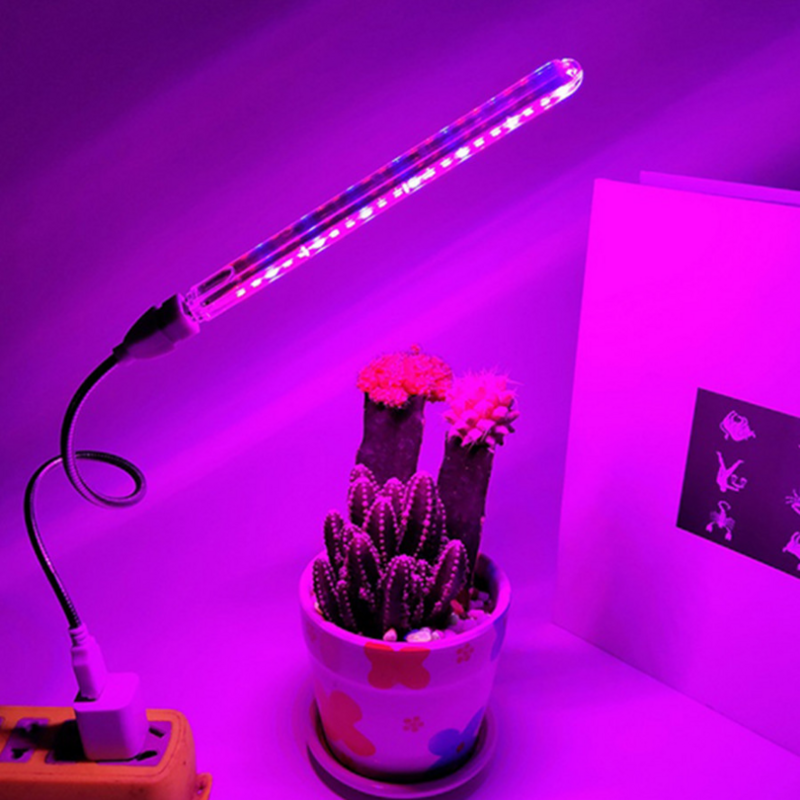 Luz Led para cultivo de plantas, luz de suplemento para interior, lámpara Phyto para invernadero, luz roja y azul para cultivo hidropónico