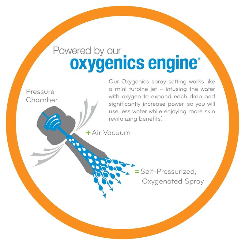 Oxygenics BodySpa RV 2-Setting Brushed Nickel Handheld Shower Head