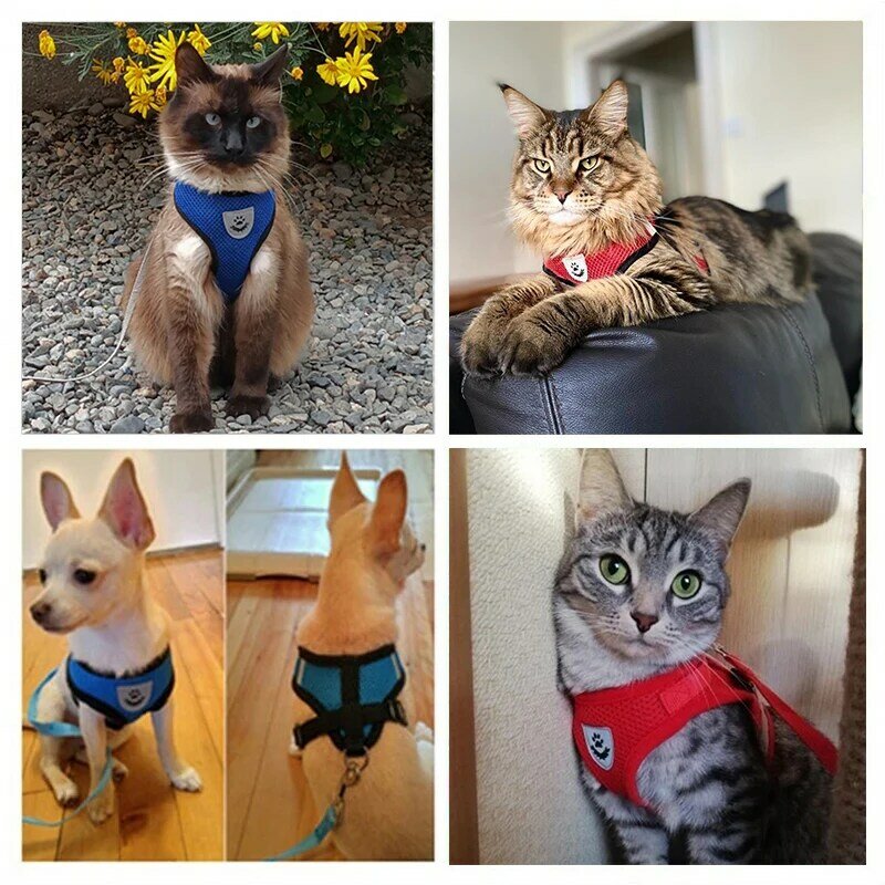 고양이 하네스 조절 가능한 조끼 워킹 견인 로프 세트, 개 목걸이 통기성 메쉬 하네스, 소형 중형 고양이 개 애완 동물 리드