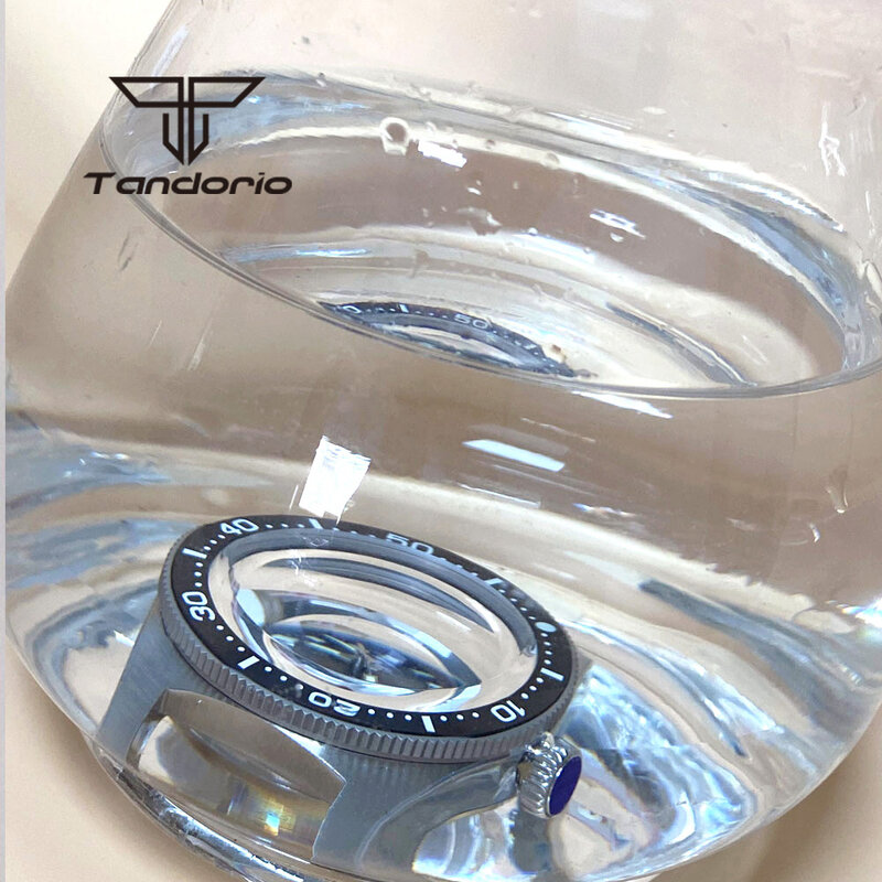 Tandorio 41mm 62MAS Automatische Gewölbtem Sapphire Glas Leucht NH35A PT5000 Bewegung 300m Tauchen herren Uhr Waffel & tropic Gurt