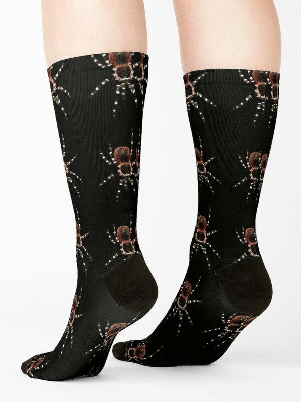 Acanthoscurria geniculata tarantula Socks Stockings new in's socks Heating sock Woman Socks Men's
