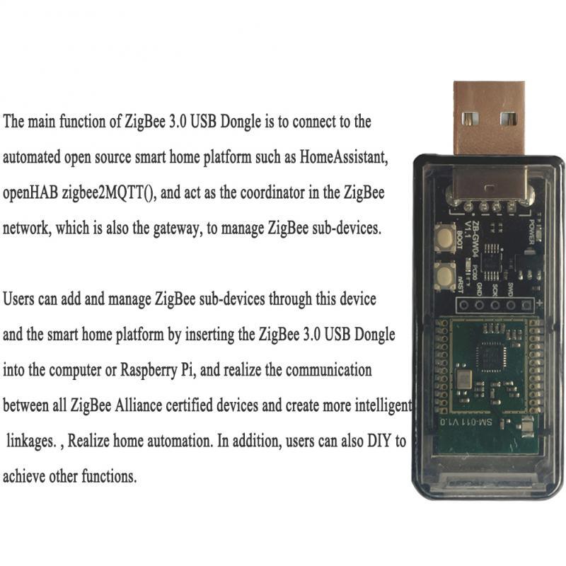 Silicon Labs-llave electrónica Universal de código abierto, dispositivo con entrada USB, Mini EFR32MG21, 3,0 ZB-GW04