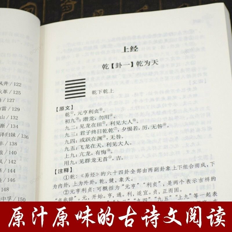 Le genre des contaminants du livre des changements explique Bagua Feng Shui vernaculaire chinois shay classique