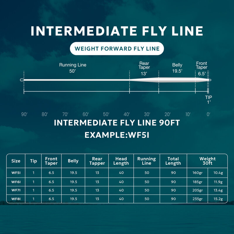 SF Intermediate Sinking Fly Line Weight Forward Intermediate Sink Fly Fishing Line Clear Nilon untuk Fishing Pita IPS1.25