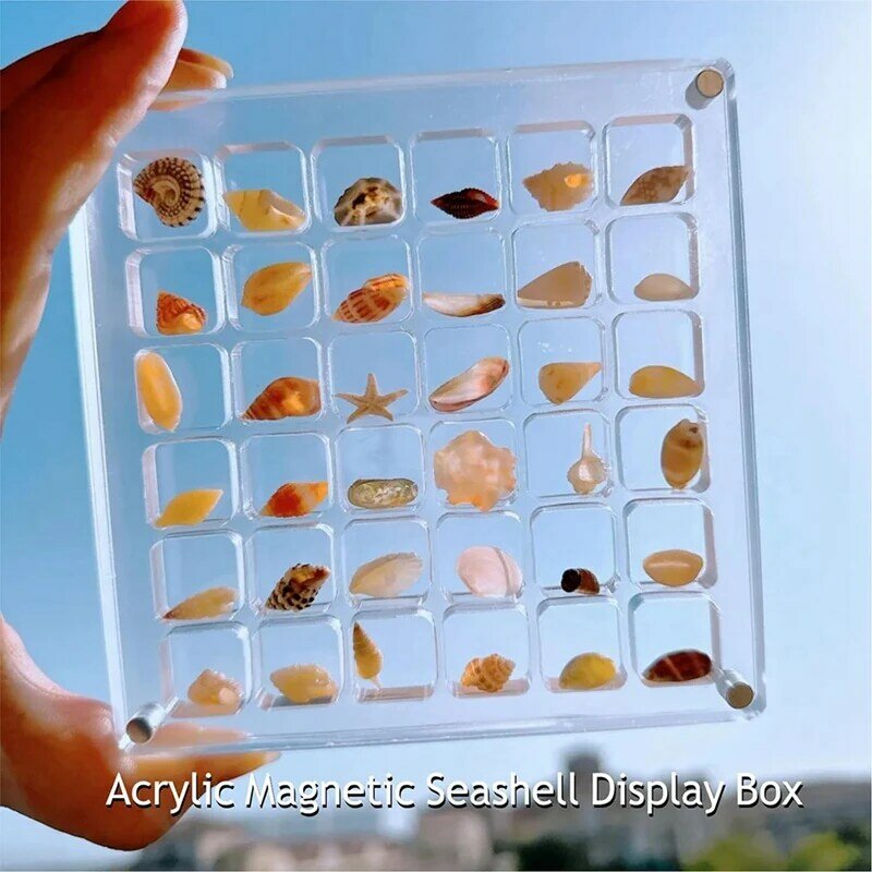 Caja de exhibición de conchas marinas magnéticas, caja de almacenamiento de conchas marinas de acrílico transparente, caja de exhibición (36 rejillas)