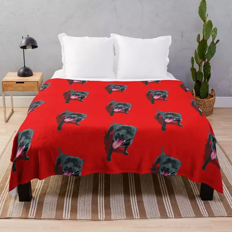 Staffy Smiling stafter Bull Terrier coperta coperta coperte divani di decorazione coperte singole di design di lusso