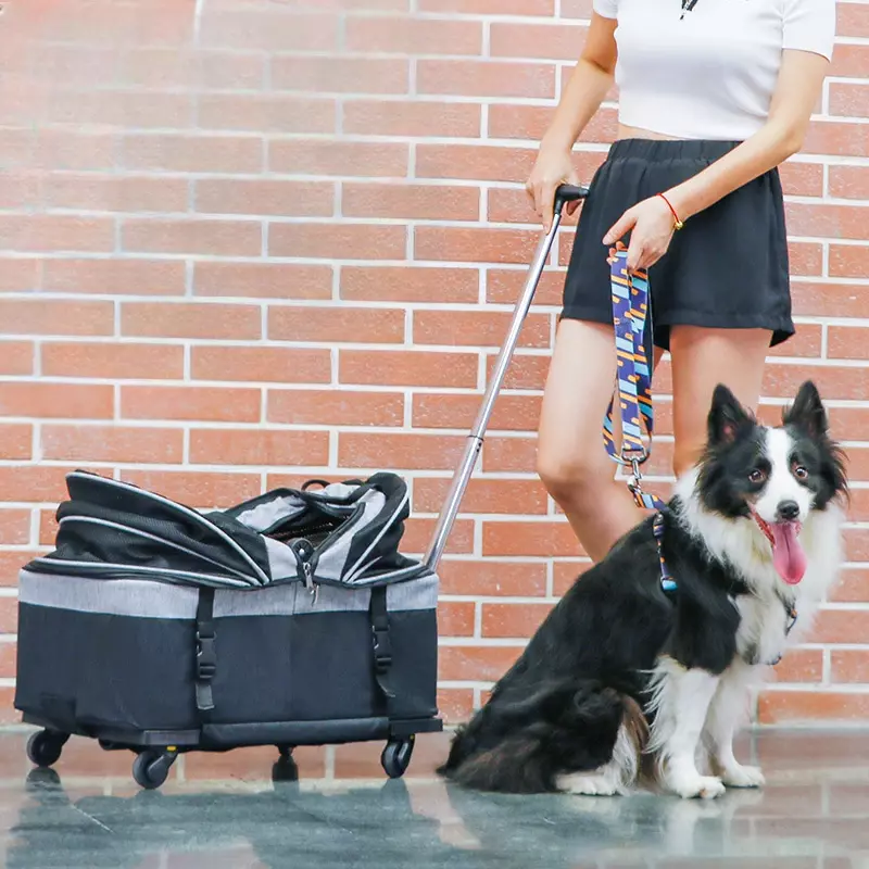 子犬用のポータブルで通気性のあるペットキャリア,犬の散歩用の取り外し可能なバッグ