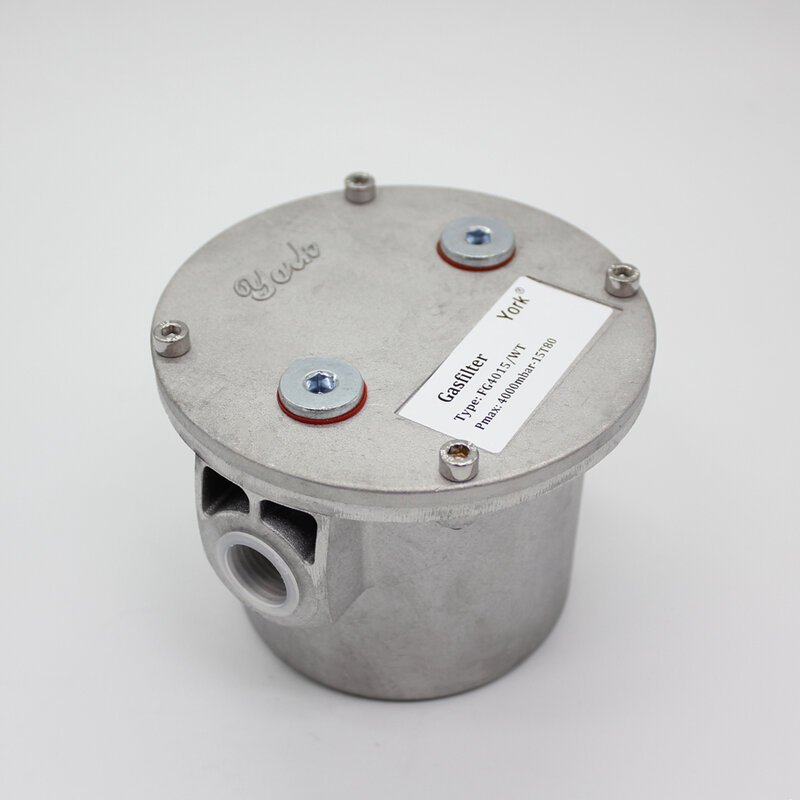 Gas filter replaces Giuliani anello GF4005/1,GF4007/1,GF4010/1,GF4032/WT,GF4015/1,GF4020/1 for Gas burners Pmax 4bar