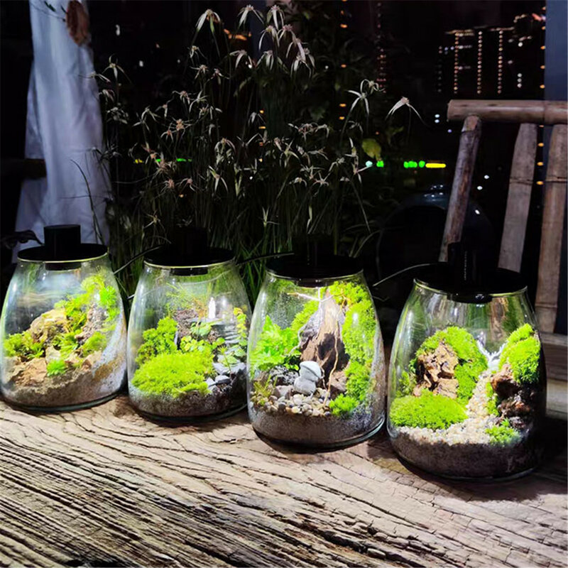 Okrągły D10cm D12cm D15cm D20cm D20cm świecąca roślina mech LED oddychający ekologiczny lampa w kształcie butelki USB trawa wodna światło słabsze lampa do roślin