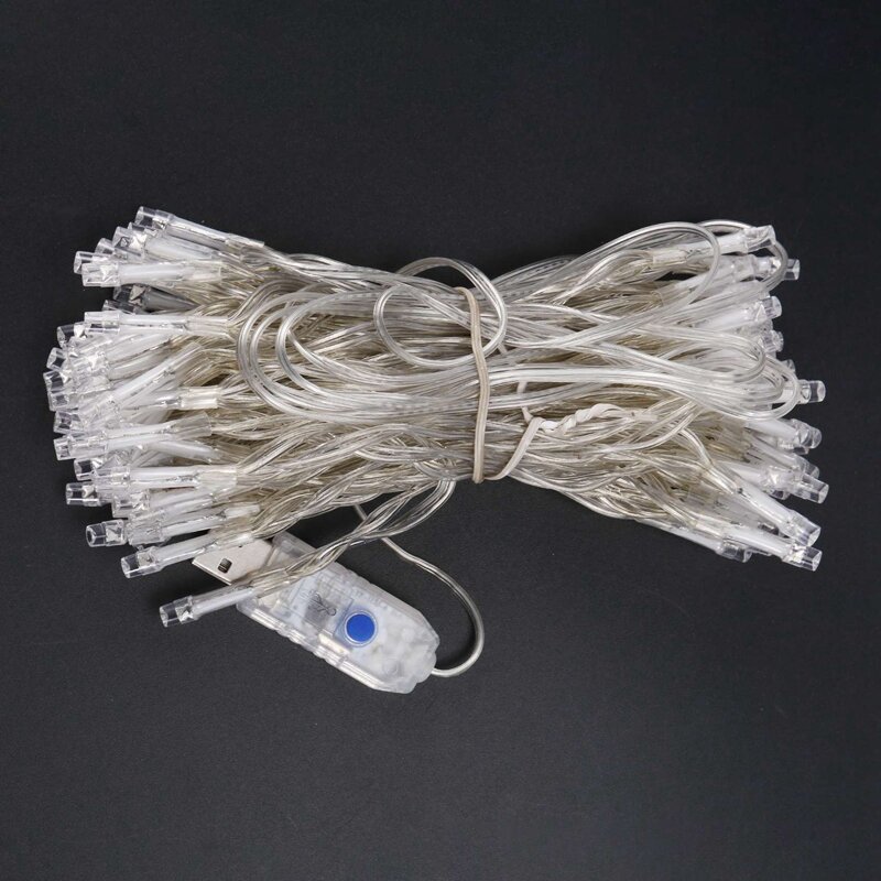 USB5V 10 Meter 100 Lamp With Remote Lighting LED Copper Wire String