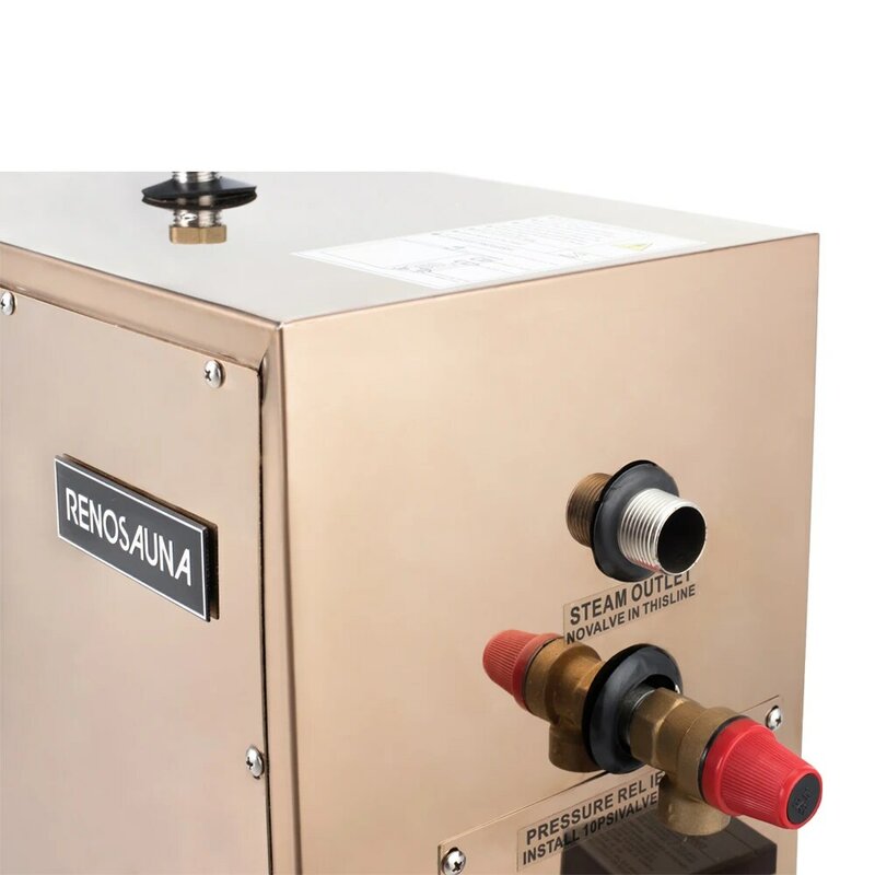 Generador de vapor portátil para el hogar, máquina de Sauna húmeda eléctrica, 4,5 kW