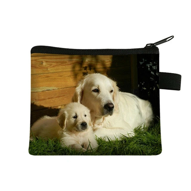 Golden Retriever / Labrador / Pomeranian portamonete Cute Dog Wallet porta auricolari per carte di credito borsa per assorbenti igienici da donna