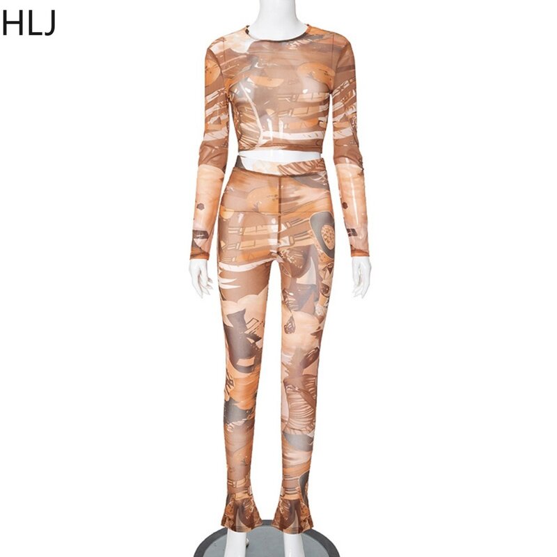 HLJ Brown Sexy Mesh Perspective Printing Two Piece Sets Women Round Neck Long Sleeve Crop Top And Skinny Pants Outfit Streetwear