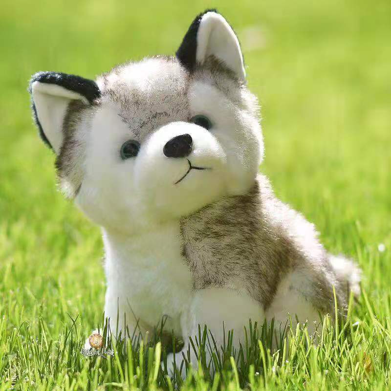 시뮬레이션 허스키 귀여운 강아지 인형 봉제 인형 화이트 아빠 개 인형 생일 선물 만화 거친 개 봉제 장난감 늑대 부드러운 인형
