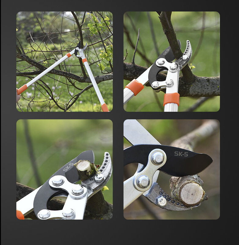 Telescopic Long Length Scissor, Hedge Anvil Shear, Anti-Slip Grip, Garden Pruning Hand Tool, Ratchet Cut Tree Branch, New