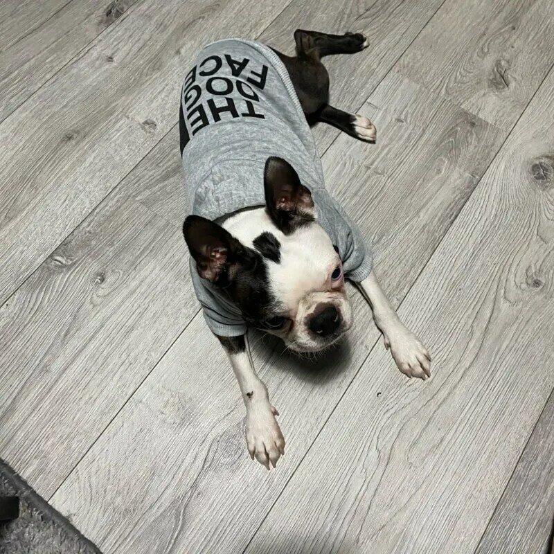 Pakaian anjing hoodie anjing wajah mantel angin hangat untuk kecil besar jaket anjing Sweatshirt pakaian jaket Bulldog Perancis