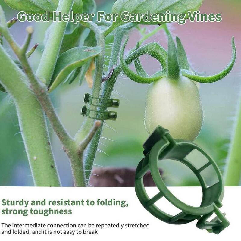 Clip di supporto per piante in plastica riutilizzabili giardino verdura viti di pomodoro spago verticale supporto per clip fisse strumenti di fissaggio per innesto