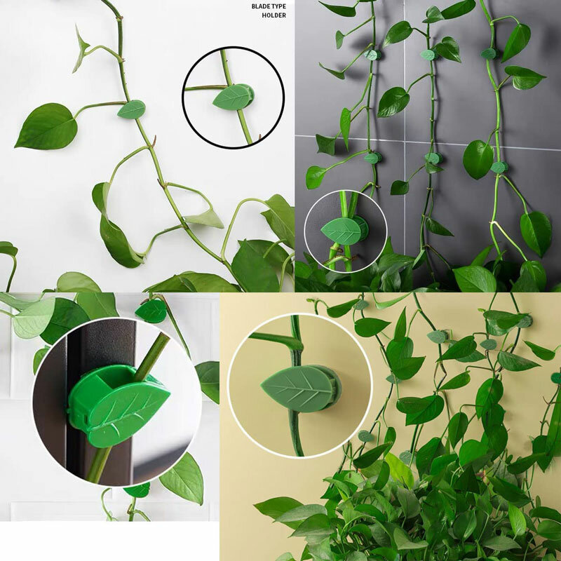 10-30Pcs clip per arrampicata su parete per piante adesivo acrilico gancio autoadesivo pianta vite supporto per trazione decorazioni per interni all'aperto