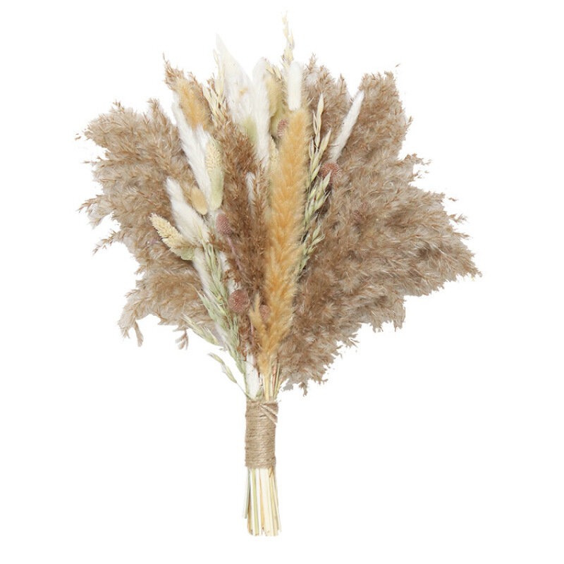 Natural Fluffy แห้งดอกไม้จริง Reed หญ้าธรรมชาติแห้ง Pampas Grass Decor ดอกไม้งานแต่งงาน DIY Bohemian สำหรับ Home Dekoration