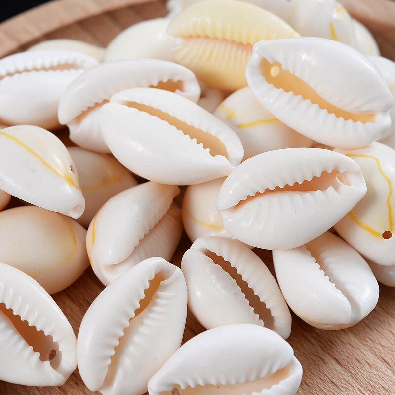 Natural Shell Conch Beads Charm ovale con fori perline distanziatrici allentate per gioielli fai da te che fanno accessori artigianali per la decorazione della casa