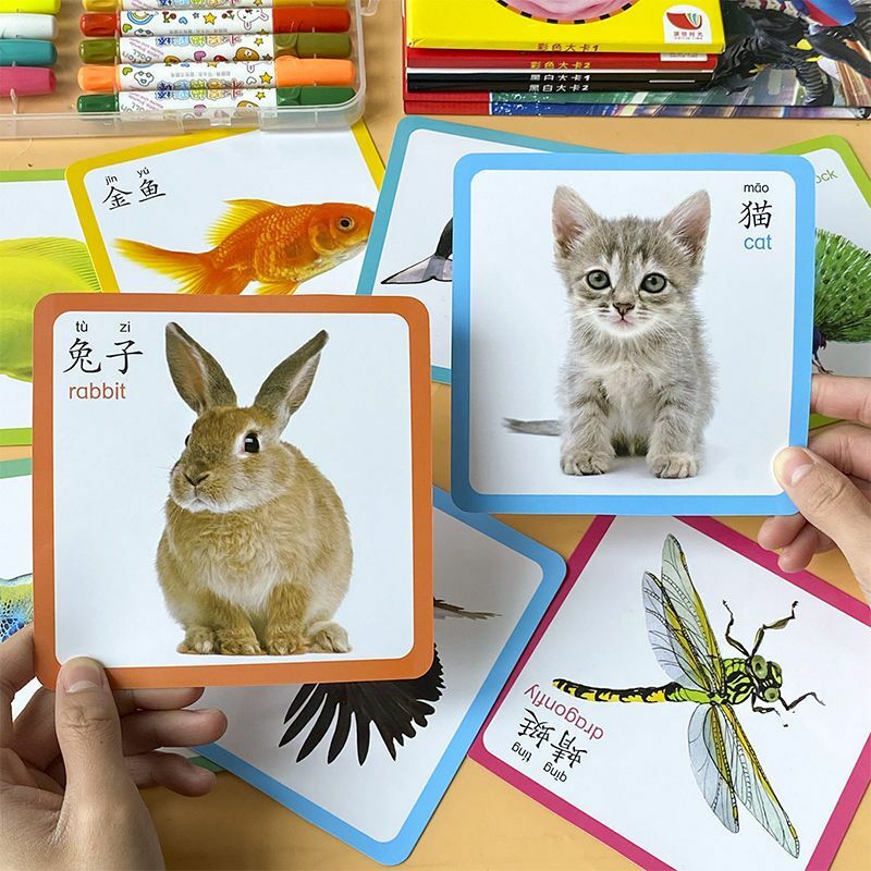 كتاب الرضع التعليم المبكر البطاقة المعرفية الطفل القراءة صورة بطاقة محو الأمية