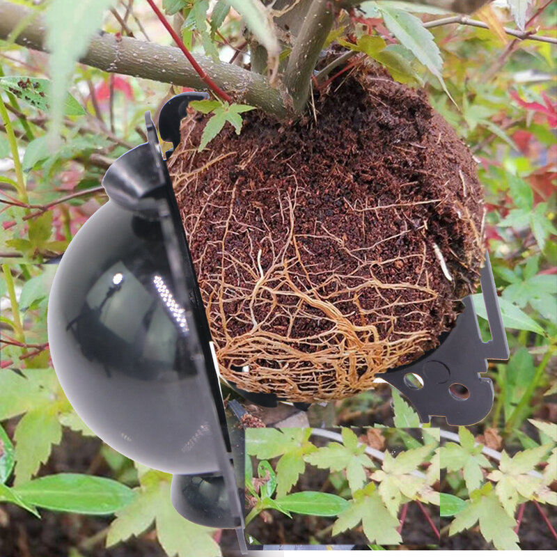 절단 접목용 검은 플라스틱 식물 뿌리 뽑기 공, 정원 나무 공중 뿌리 전파 사육 상자, 5, 8, 12cm, 5 개