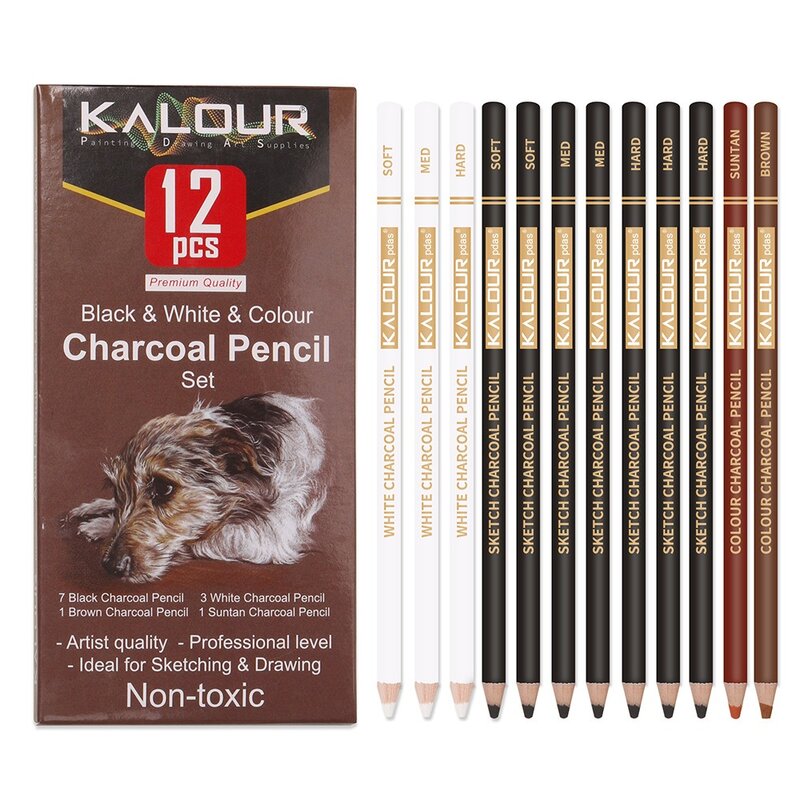 Set di matite colorate a carbone KALOUR, Kit da disegno professionale in gesso pastello da 6/12 pezzi per schizzi di ombreggiatura che sfumano l'arte del ritratto