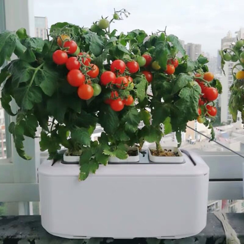 Sistema de jardim hidropônico vegetal caixa plantio inteligente interior plantador equipamentos casa rega automática sistema hidropônico