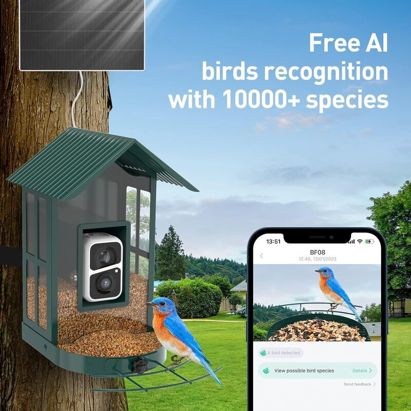 SOLIOM®BF08-cámara alimentadora de pájaros de Metal con reconocimiento de aves AI inteligente, cámara de observación de aves salvajes, vista en vivo, notificación instantánea