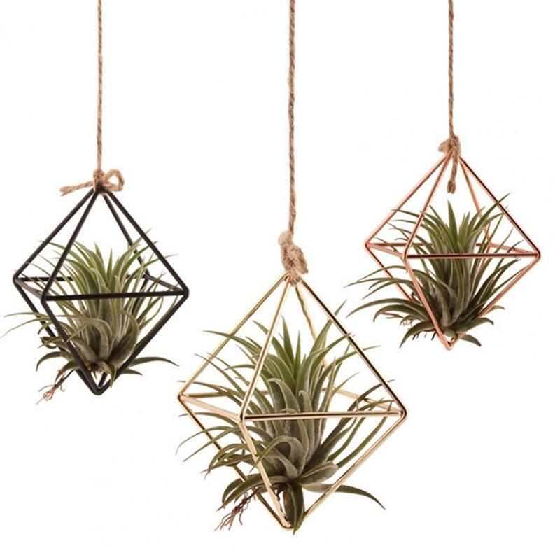 Air Plant Holder Geometric Glass Terrarium Propagation Station with Iron Stand for Home Office Decor Plant Lover for Air