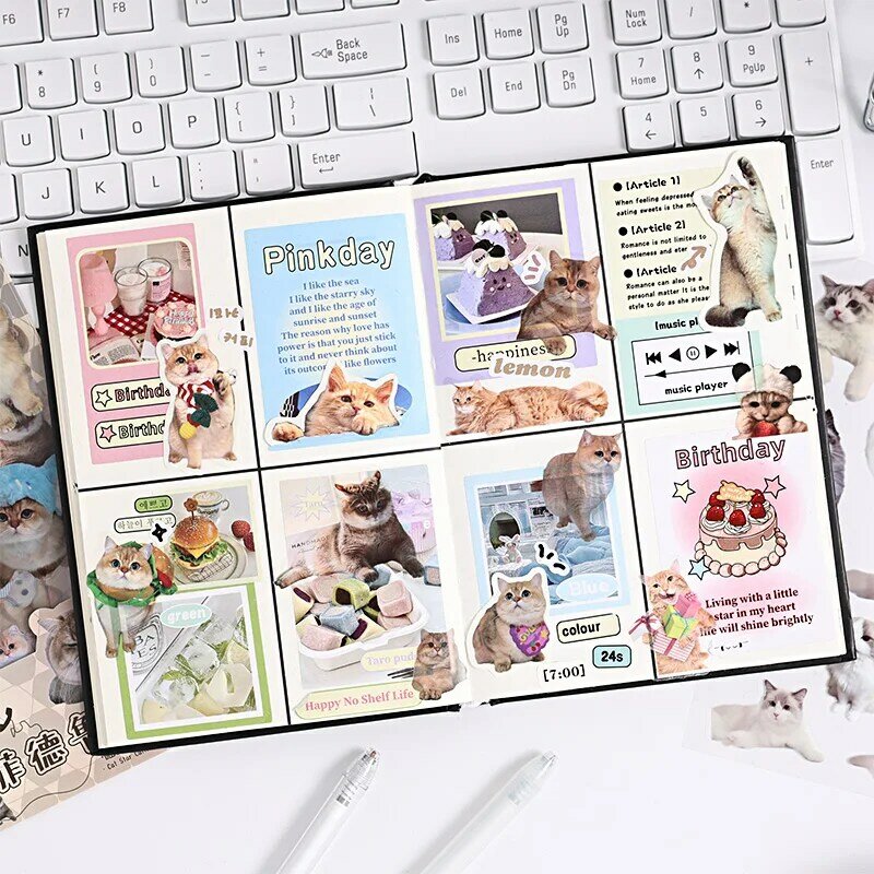 ملصق Pet من سلسلة Meow Star celeter Pet ، كلاسيكي ، لطيف ، جميل ، مزخرف ، 6 لكل حصة