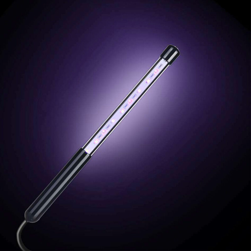 Bâton de brosse à dents portable à lumière LED UV, sous-vêtements, livres profonds, lampe UV domestique, déterminer le type