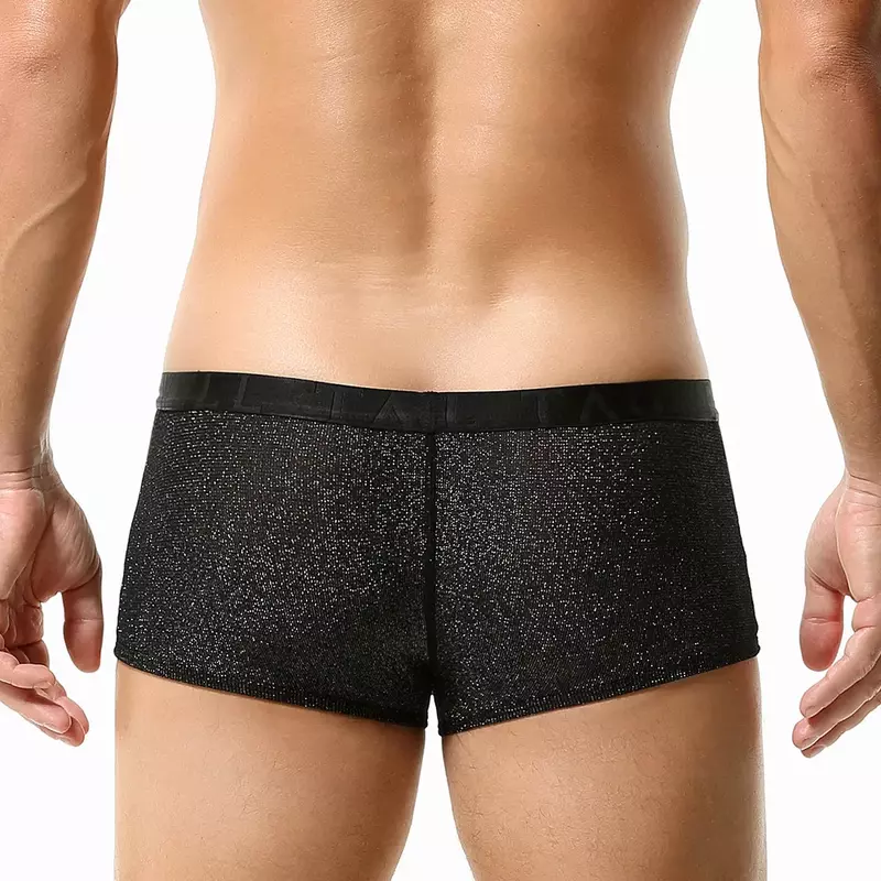 Pakaian dalam berkilau celana dalam pria seksi kantung menonjol celana dalam pria Boxer celana dalam lembut tipis Lingerie Gay tembus pandang Boxer celana dalam