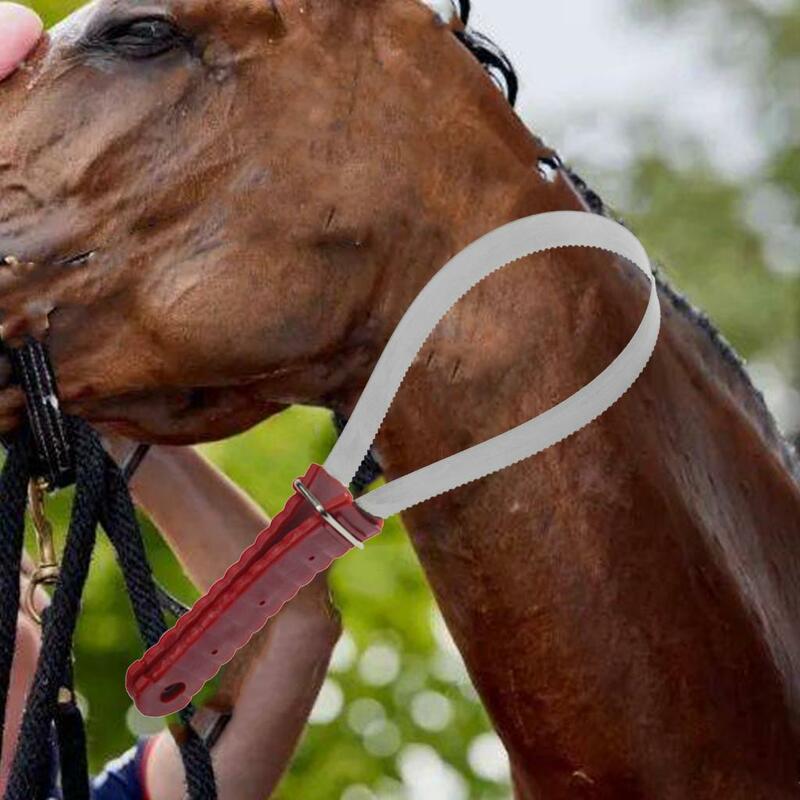 Escova de limpeza dupla face do cavalo Ferramenta de cuidados do raspador Raspador portátil