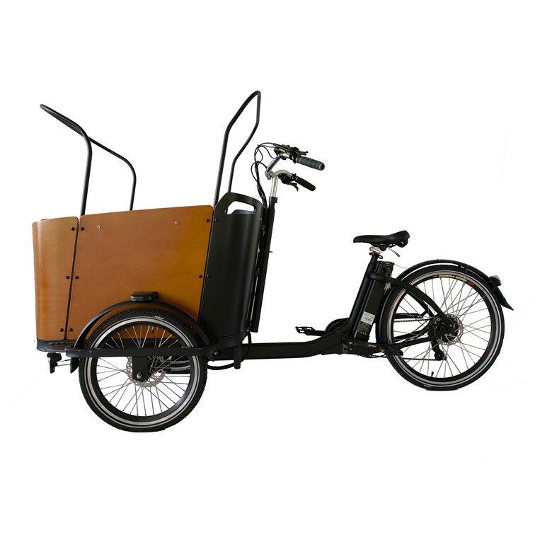 YIYKEN-3 Wheel Electric Cargo Bike, carga E Bike, família, boa qualidade, OEM