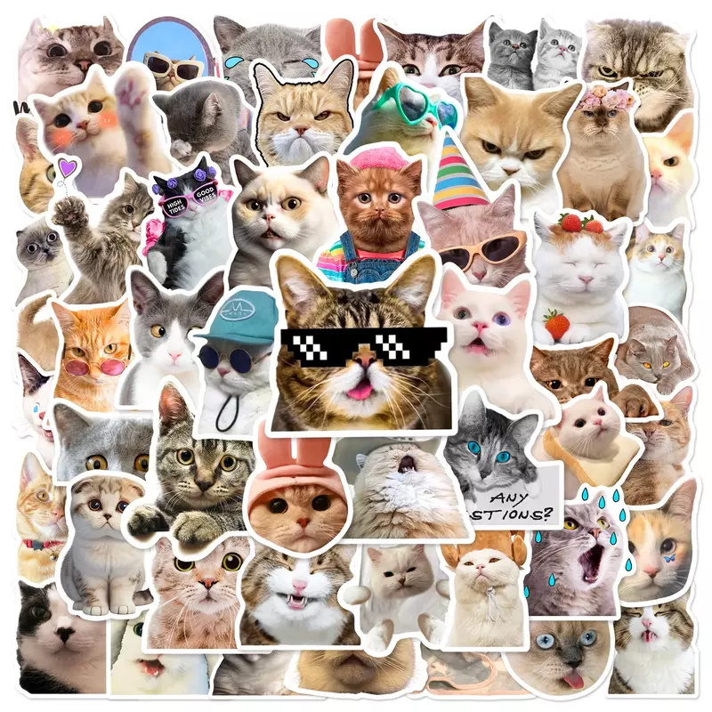 재미있는 고양이 방수 그래피티 스티커, 미적 장식 러기지 컵, 노트북 전화 기타, 스케이트보드, 어린이 스티커, 10 개, 30 개, 50 개