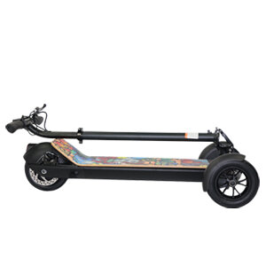 Factory Direct Supply 500W Hige Power Electric Golf scooter Skateboard 8.5 inch Tire Three Wheels Golf Board electric scooter