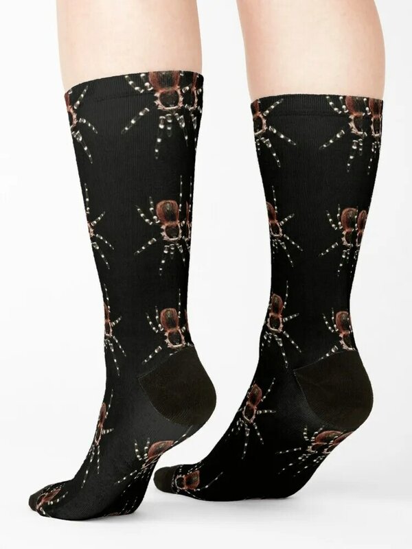 Acanthoscurria geniculata calze tarantola calcio antiscivolo riscaldato regalo divertente giarrettiera luminosa calzini donna di lusso da uomo