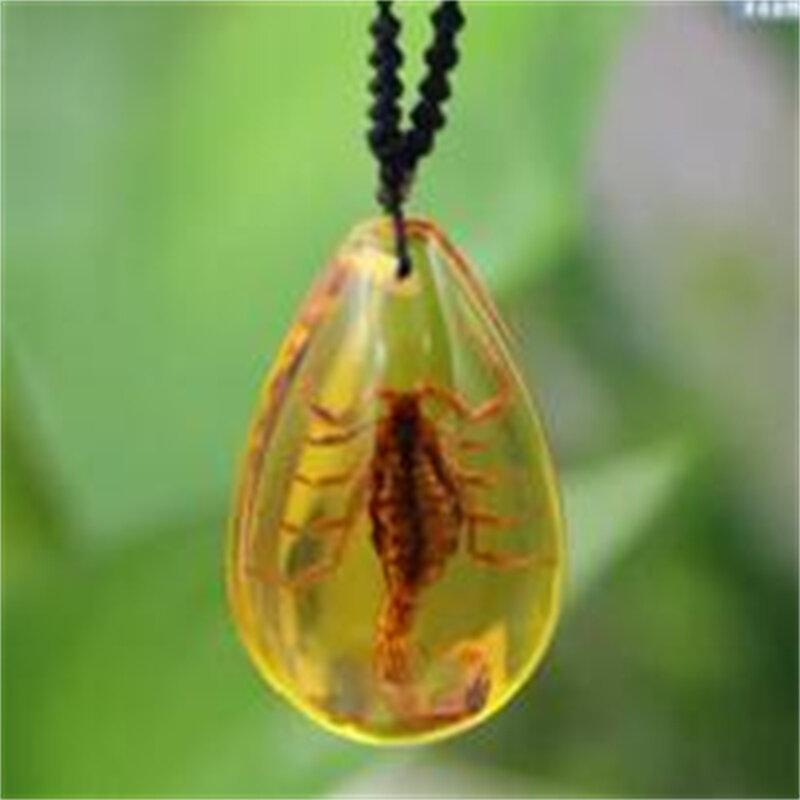 새로운 전갈 왕 목걸이 진짜 곤충 표본 펜던트 크리 에이 티브 진정한 남자 장식품 어린이 선물