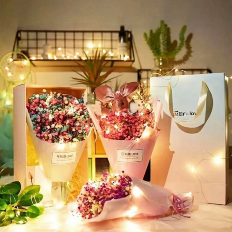 PaaMaa-Guirxiété lumineuse LED en fil de cuivre avec batterie, décoration d'intérieur pour fête, mariage et Noël, 62 LED
