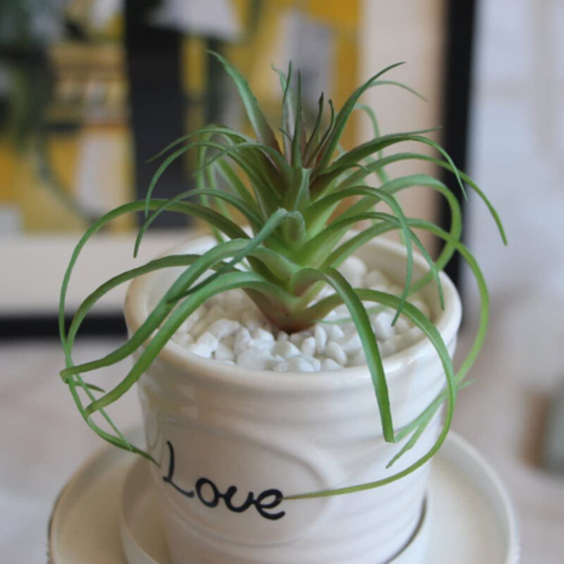 Artificial falso tillandsia decoração do quarto suculenta simulação planta falso plantas de vegetação jardim diy escritório em casa pátio hotel