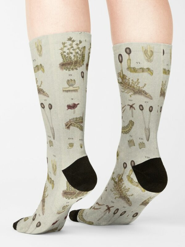Antique Botany Socks Winter Sock Man