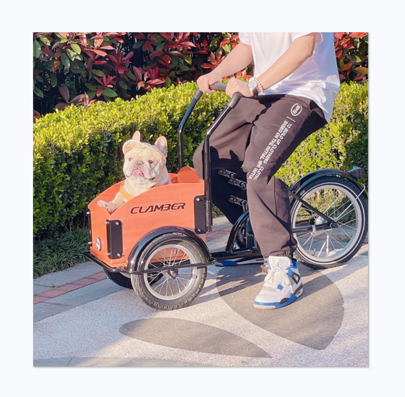 European Pet Scooter, bicicleta fofa, carrinho de gato e cachorro, novo design, popular, tendência
